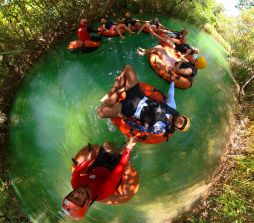 img-gerenciavel
